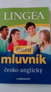 Školní mluvník česko-anglický s výslovností