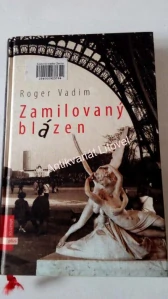 Zamilovaný blázen