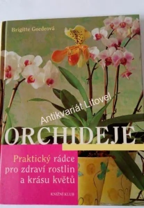 Orchideje