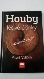 Houby a jejich léčivé účinky