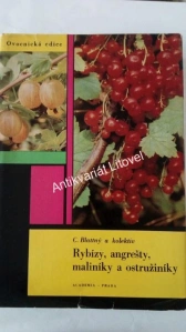 Rybízy, angrešty, maliníky a ostružiníky