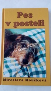 Pes v posteli