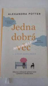 Jedna dobrá věc