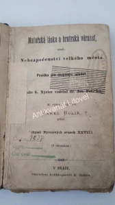 Mateřská láska a bratrská věrnost aneb Nebezpečí velkého města