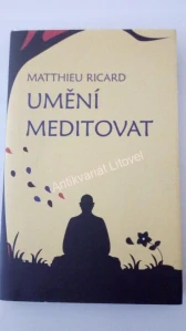 Umění meditovat