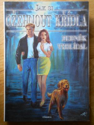 Jak si ožehnout křídla