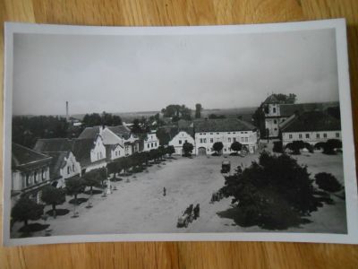 Dašice