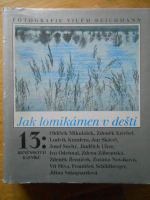 Jak lomikámen v dešti