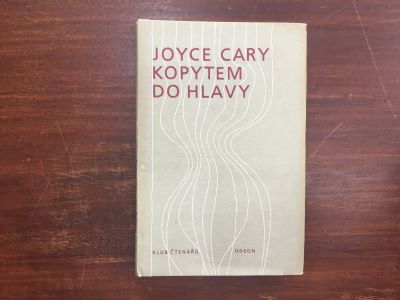 Kopytem do hlavy