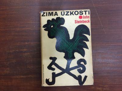 Zima úzkosti