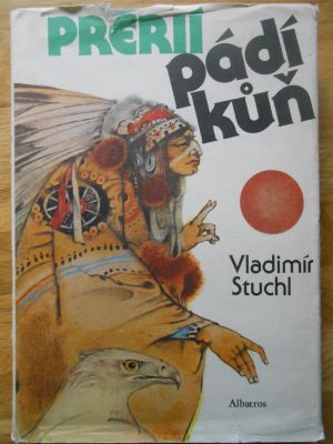 Prérií pádí kůň