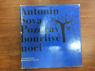 Pozdrav bouřlivé noci