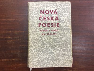 Nová Česká poesie