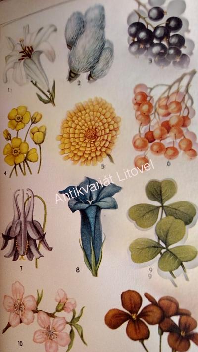 Bildwörterbuch, Deutsch und Russisch