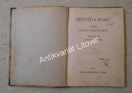 Medvěd 8. pluku